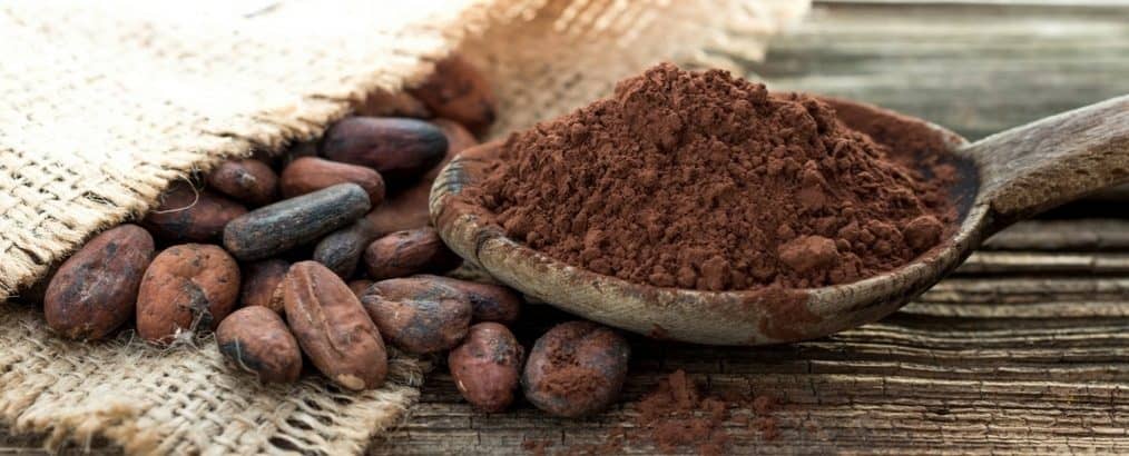Het beste cacaopoeder